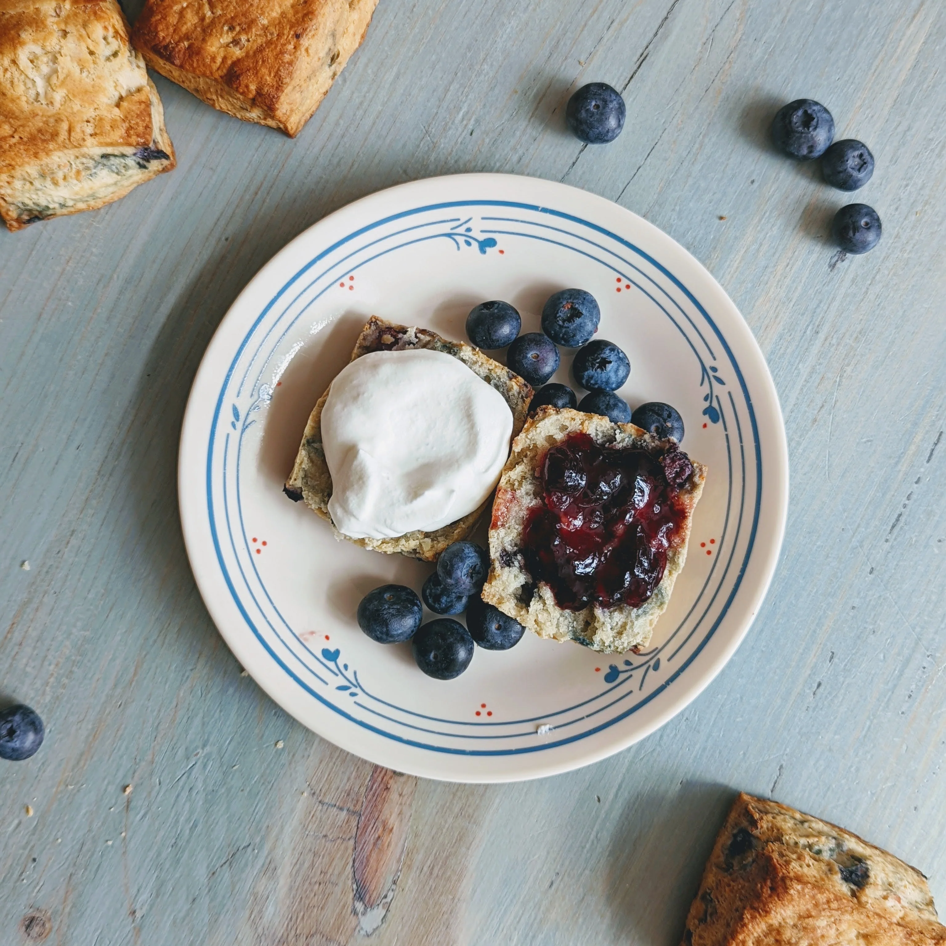 Blueberry Biscuits (6-pack) - Image 3