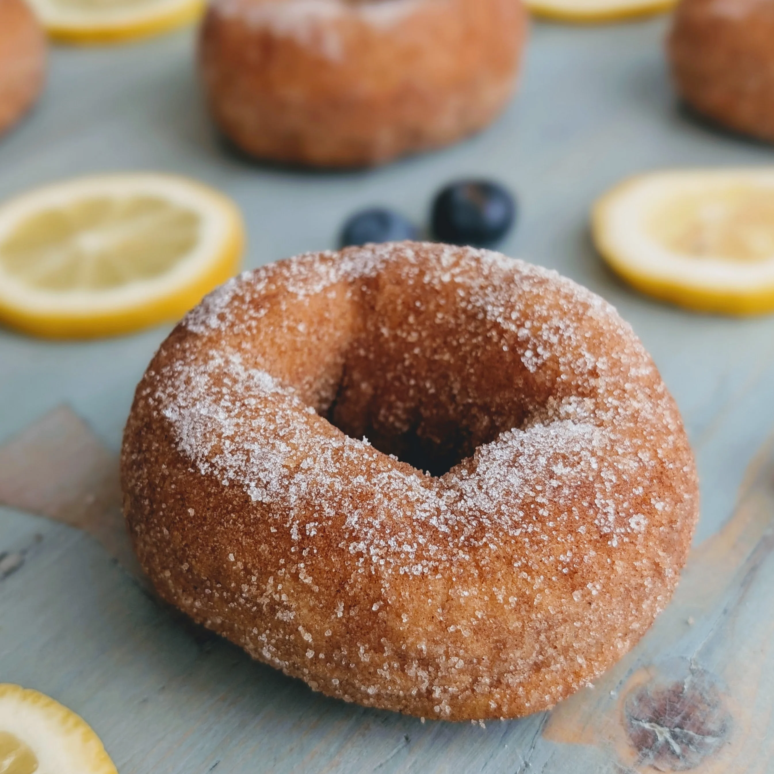 Blueberry Lemon Donuts (6-pack) - Image 3