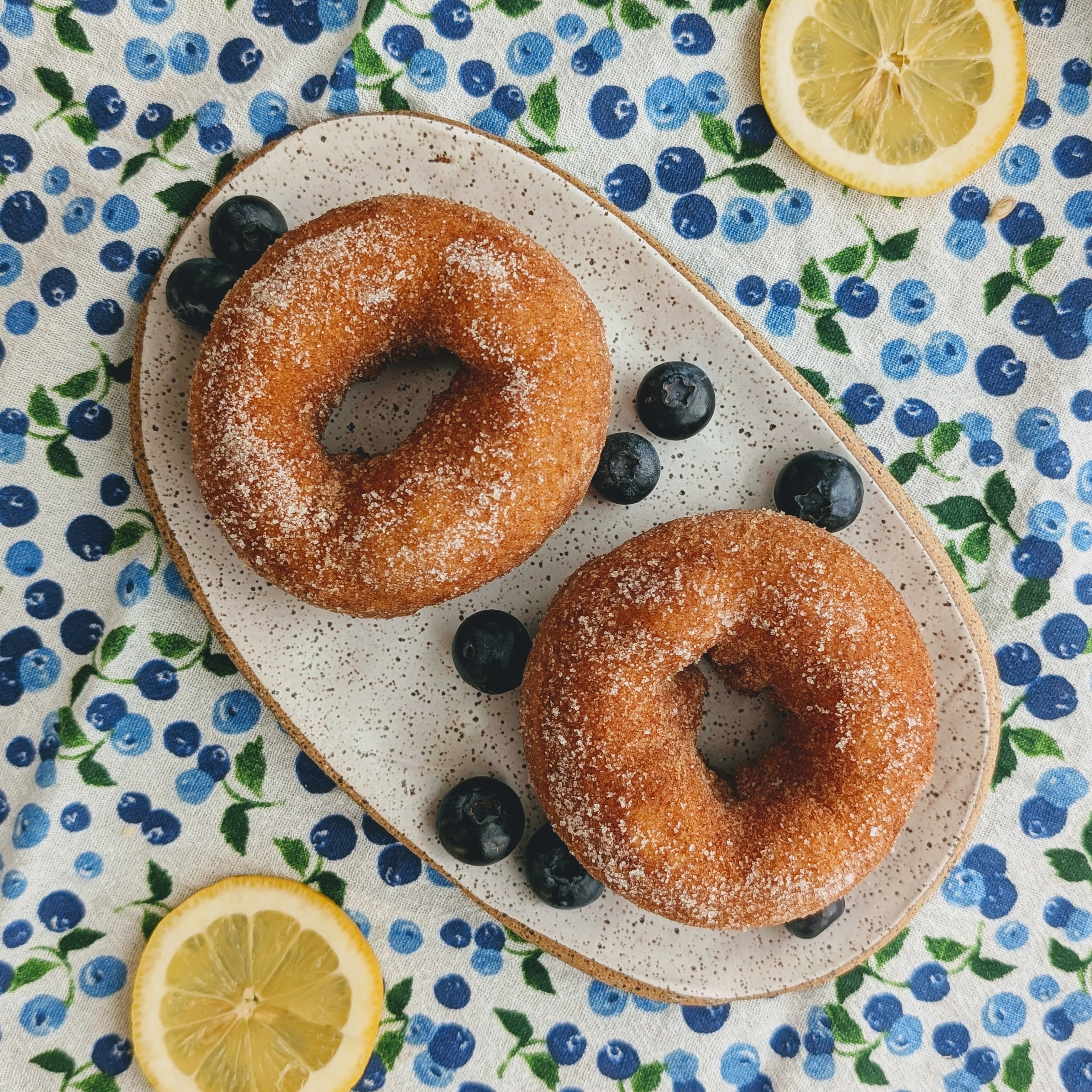 Blueberry Lemon Donuts (6-pack) - Image 4