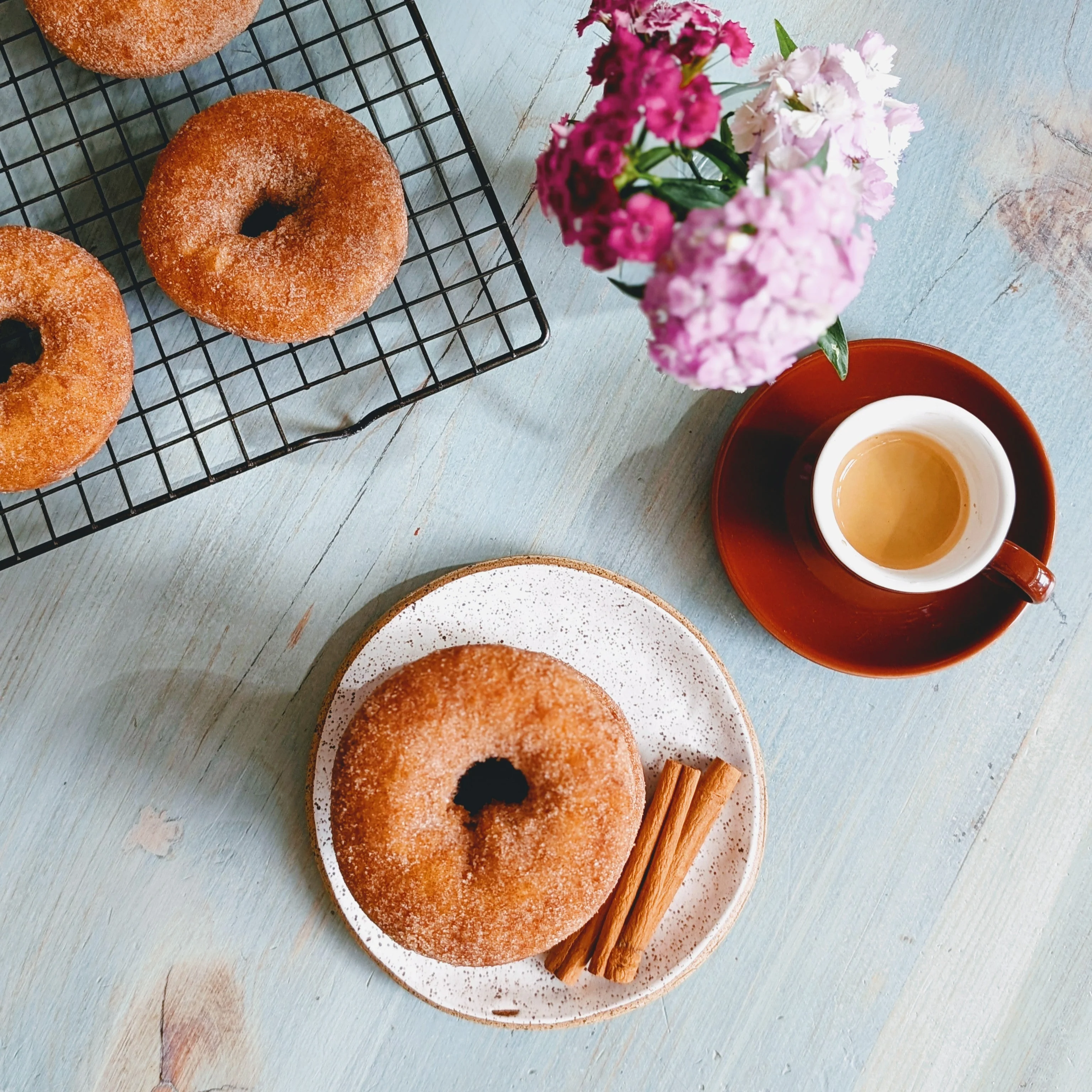 Cinnamon-Sugar Donuts (6-pack) - Image 3
