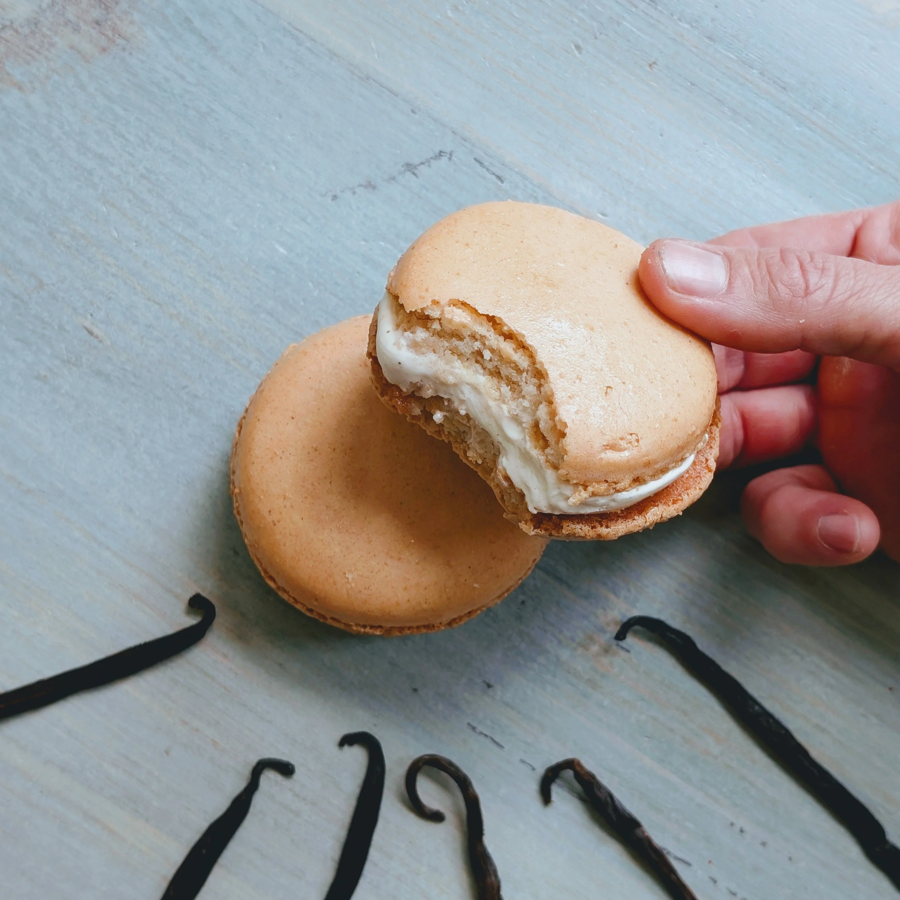 Macaron Ice Cream Sandwich • Three Vanillas (2-pack) - Image 3