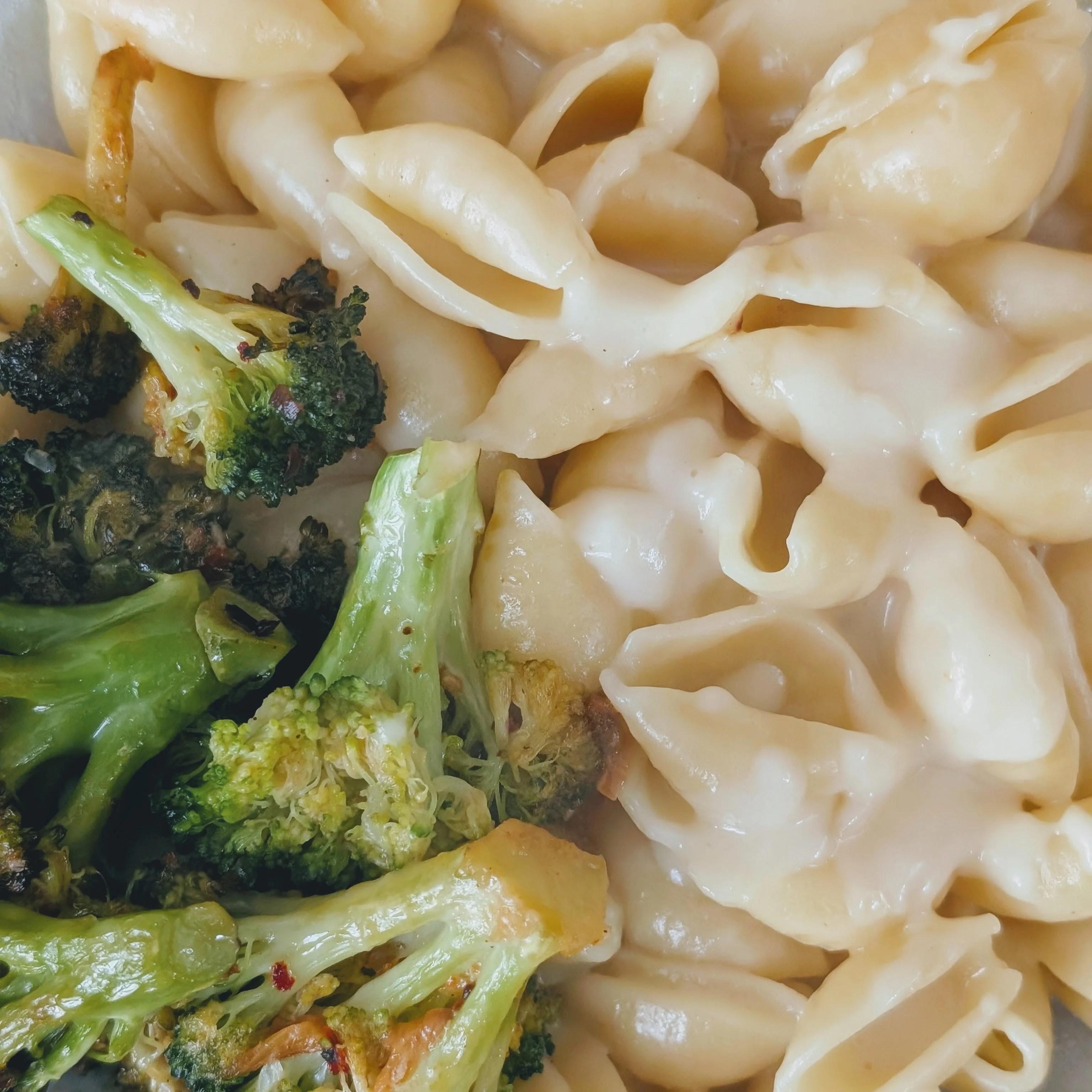 Gluten-Free Fresh Shells (12oz) - Image 2